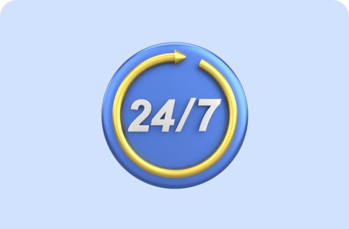 24x7 Support